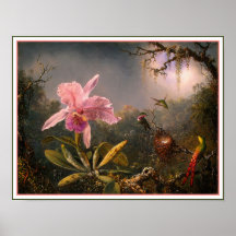 Affisch/tryck: Orchid och Hummingbirds