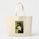 Afghansk hund kasse