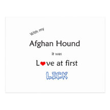 Afghansk hundaningdesign vykort