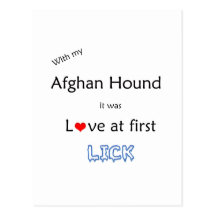 Afghansk hundaningdesign vykort