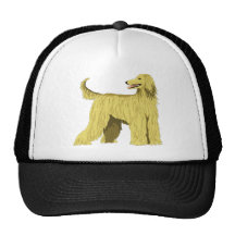 Afghansk hundhatt mesh kepsar
