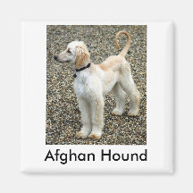 Afghansk hundvalpmagnet kylskåps magneter