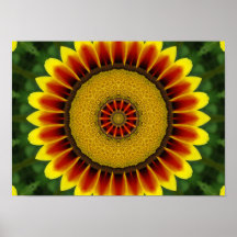 Afrikansk daisy affischer