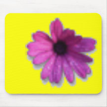 Afrikansk daisy mus matta
