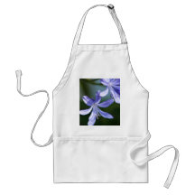 Agapanthusen blommar förklädet