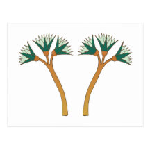 Ägypten Egypt Papyrus plant Postkarte