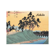 Aikidojapankampsport Canvastryck