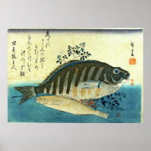 Ainame & Shima-hata - färgrikt japanskt fisktryck Posters