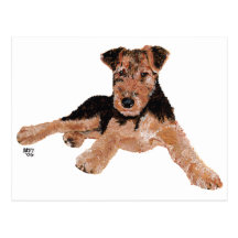 Airedale Lakeland, walesisk Terriervalp Vykort