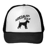 Airedales härskar keps