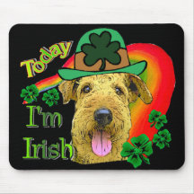 AiredaleTerrierSt Patricks Musmatta