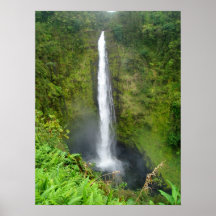 Akaka nedgångar, Hawaii Print