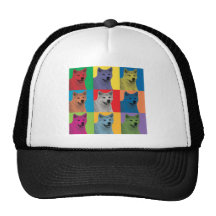 Akita Pop-Konst Keps