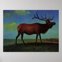 Albert Bierstadt, älg Print
