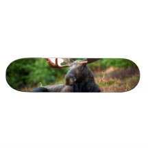 Älg Anpassningsbara Skateboard
