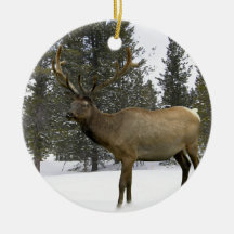 Älg i vinterprydnad julgransdekoration