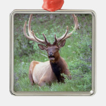 Älg Jul Dekorationer