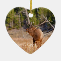 Älg Julgransdekorationer