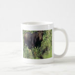 Älg Kaffe Koppar