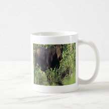 Älg Kaffe Koppar