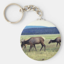 Älg Nyckel Ring