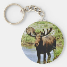 Älg Nyckel Ringar