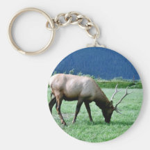 Älg Nyckel Ringar