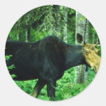 Älg Rund Klistermärke