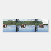 Älg som matar i sjön bildekal