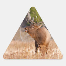 Älg Triangle Stickers