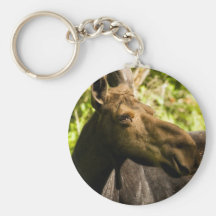 Älgen profilerar nyckel ring