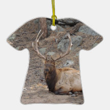 Älgvapitier Julgranskula