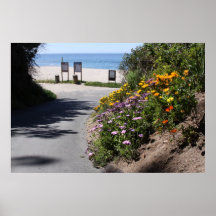 ALISO-STRAND PRINT