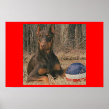 All amerikanbasebollspelare posters