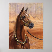 ALL den egyptiska för Princess Arab hästaffischen 