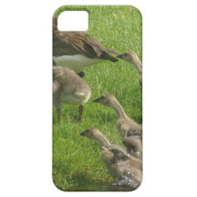 Alla ut iPhone 5 Case-Mate cases