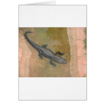Alligator Hälsnings Kort