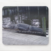 Alligator Mousepad Mus Matta