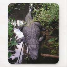 Alligator Mousepad Musmatta