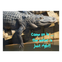 Alligator på skeppsdocka anpassade tillkännagivande