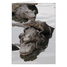 Alligatorfödelsedagsfest Kort