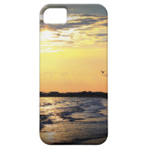 ALLIGATORN PEKAR, FLORIDA iPhone 5 CASES