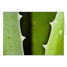 Aloe Vera Hälsningskort