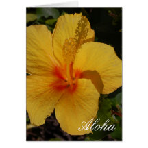 Aloha hälsningkort