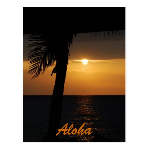 Aloha hawaianska solnedgångkort vykort