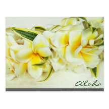 Aloha LeiHawaii vykort
