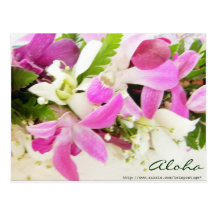Aloha LeiHawaii vykort
