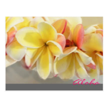 Aloha LeiHawaii vykort