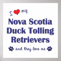 Älska min Tolling Retrievers för den Nova Scotia a Print