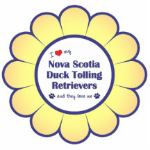 Älska min Tolling Retrievers för den Nova Scotia a Acrylic Cut Out